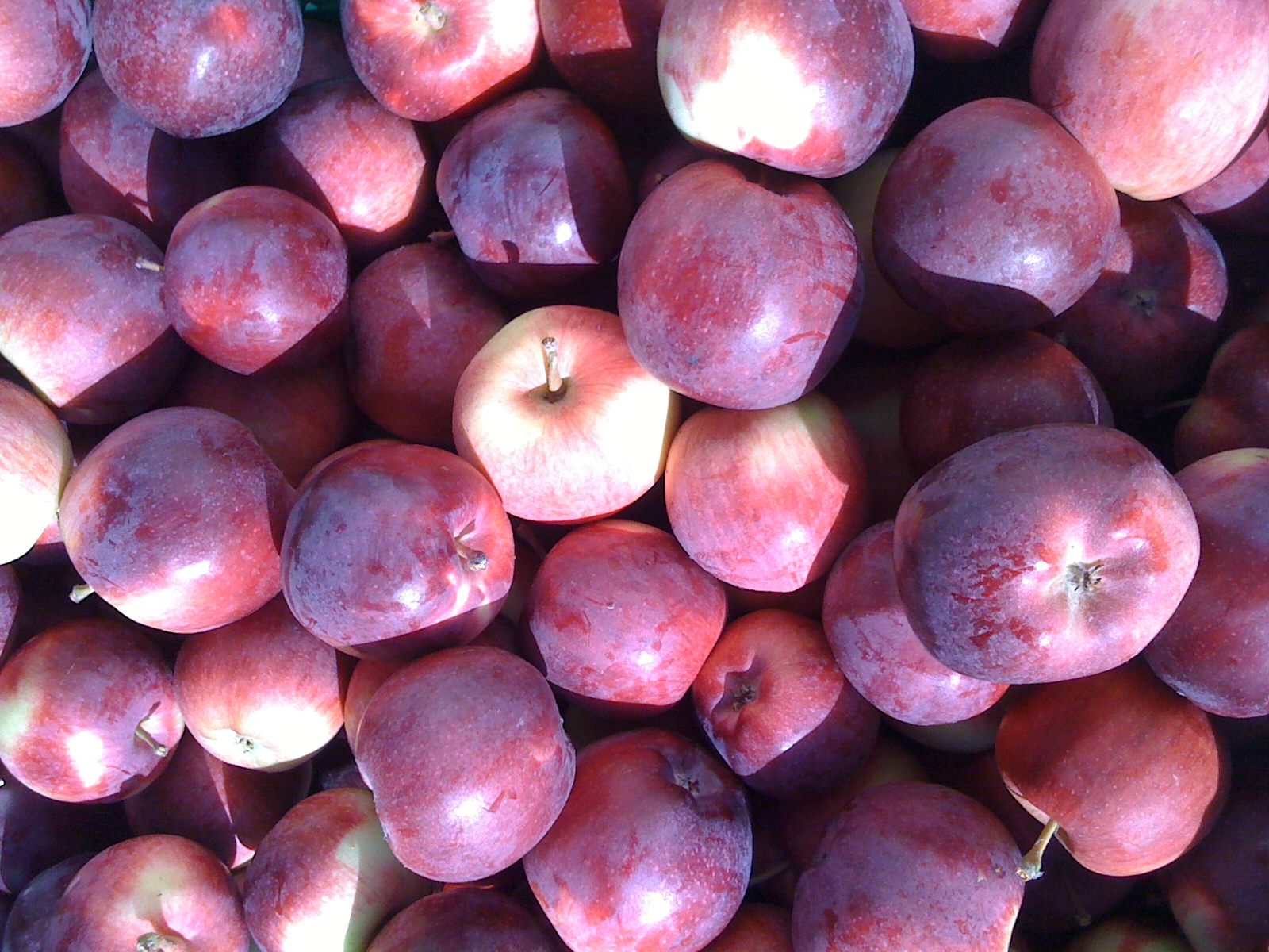 Apple swiss discount